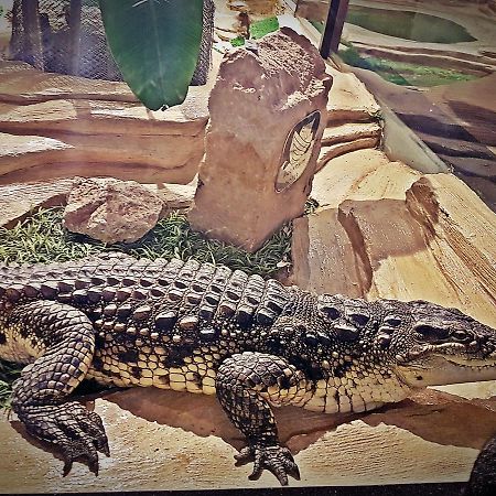 Aquarium Hotel Riyadh Eksteriør bilde