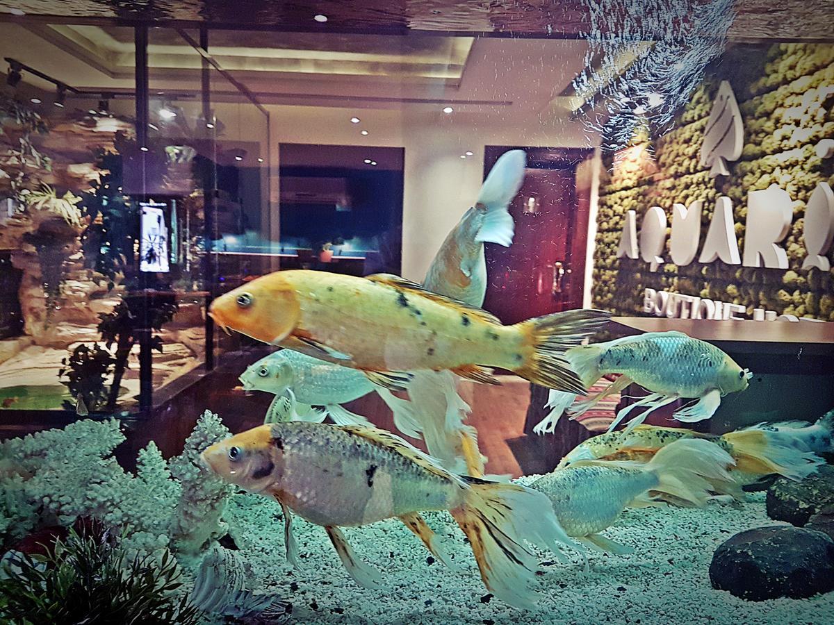 Aquarium Hotel Riyadh Eksteriør bilde