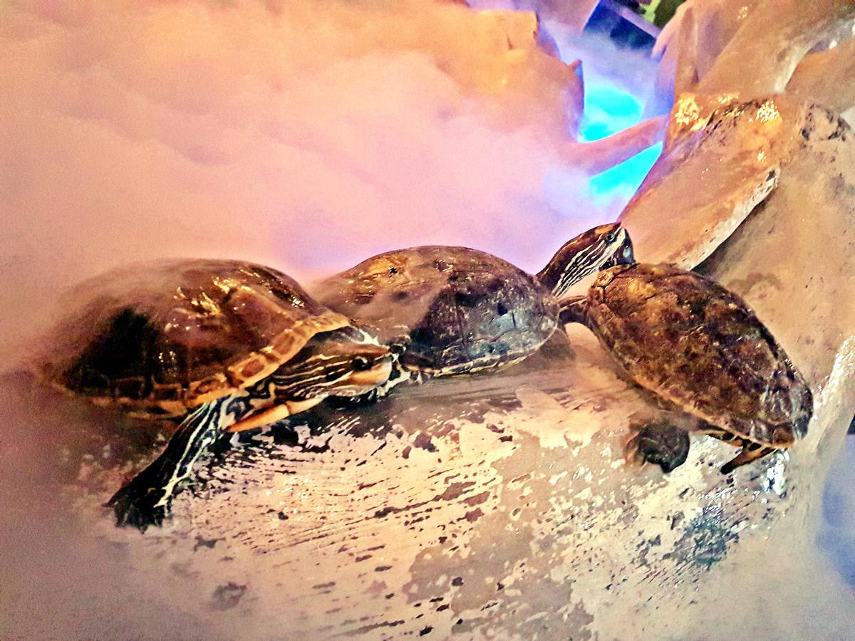 Aquarium Hotel Riyadh Eksteriør bilde