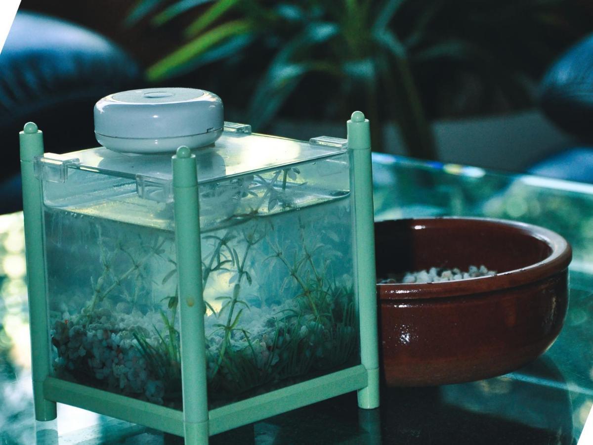 Aquarium Hotel Riyadh Eksteriør bilde